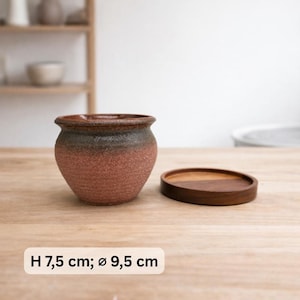 Keramik-Pflanzentopf mit Drainageloch & Akazienholz-Untersetzer | robuster Blumentopf vintage rustikal | für Kakteen und Sukkulenten 2 (H:7.5cm; D:9.5cm)