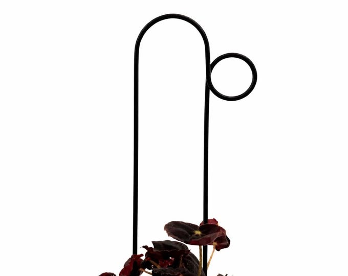 Rankhilfe “Loop” von Botanopia | Aus recyceltem Aluminium | Kletterpflanzenhilfe