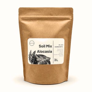 Può includere: Un sacchetto di carta marrone contenente terriccio per piante di Alocasia. L'etichetta include il testo "Soil Mix Alocasia" e i dettagli degli ingredienti. Il sacchetto contiene 3L di terriccio. Il pH è 6,5.