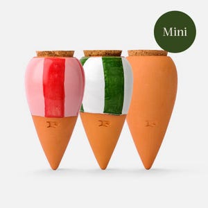 Può includere: Tre mini fioriere color terracotta a forma di coni gelato. Una è rosa con una striscia rossa, un'altra ha strisce verdi e bianche e la terza è liscia. Ognuna ha un coperchio in sughero. La parola "Mini" è in un cerchio verde.