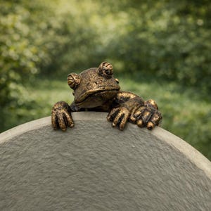 Può includere: Una scultura di rana color bronzo con dettagli intricati, appoggiata su una superficie di pietra grigia. La rana sembra sporgersi dal bordo, creando un accento da giardino stravagante.