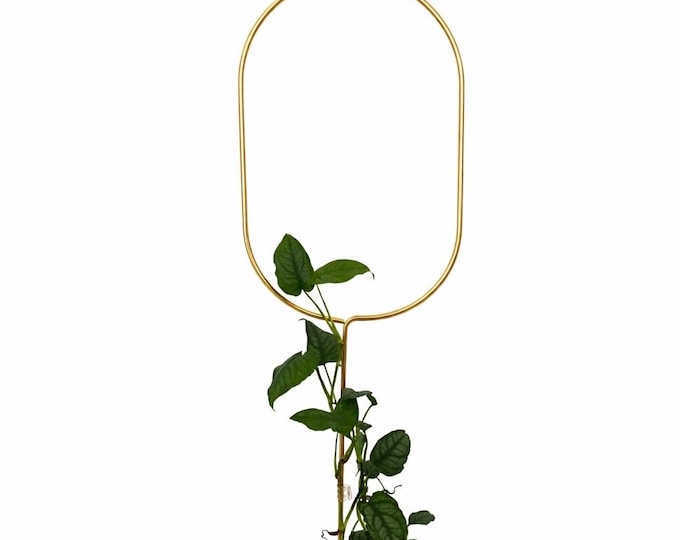 Rankhilfe “Arch” von Botanopia | Gold aus recyceltem Aluminium | 70 cm
