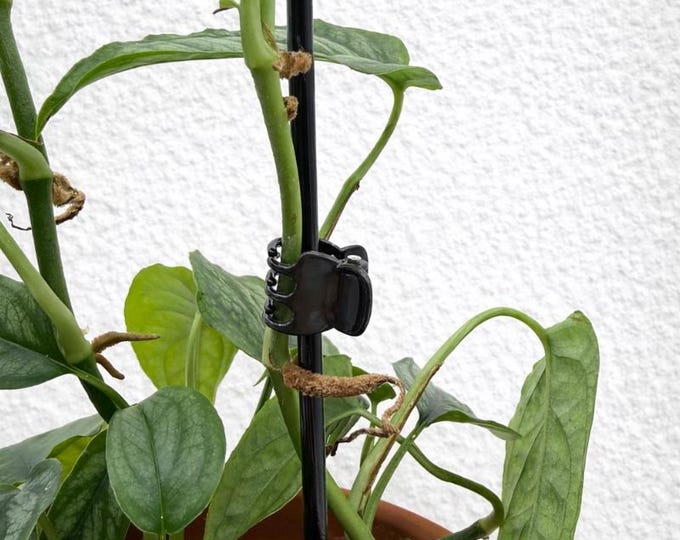 Orchideen Pflanzenclips | Kletter- und Hängepflanzen-Unterstützung | 10 Stück