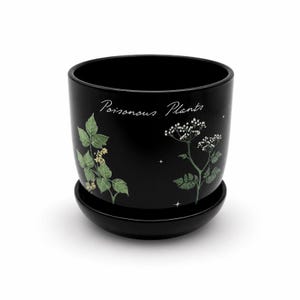 Keramik-Blumentopf “Plantas Venenosas” com Untersetzer | 12x11 cm