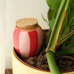 May include: A small, round ceramic jar with a cork lid. The jar is painted with alternating vertical stripes of light pink and red. It sits in a yellow pot with a green plant.