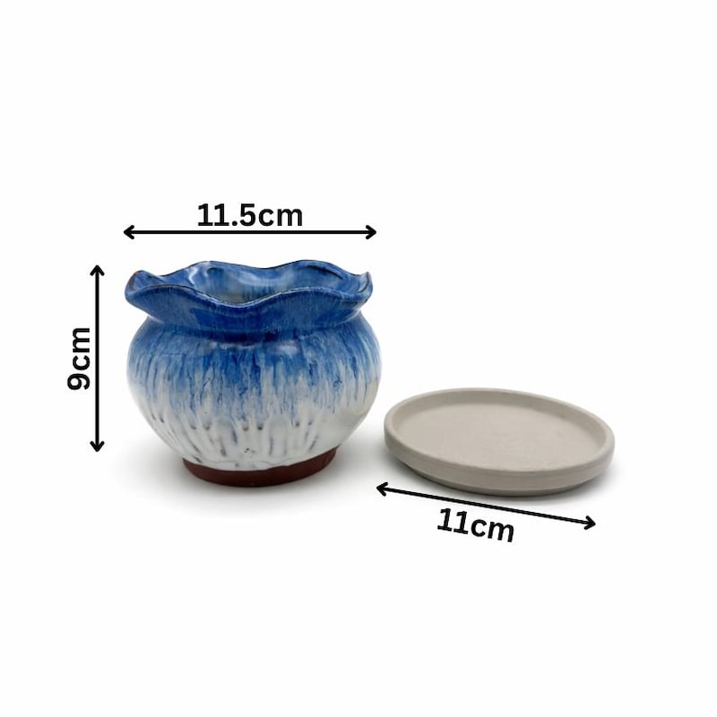 May include: A ceramic planter with a wavy blue rim and a white and blue glazed exterior. The planter is 4.5 inches wide and 3.5 inches tall, with a separate 4.3-inch saucer. The base is brown.