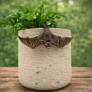 Può includere: Un vaso per piante color cemento con una decorazione a pipistrello in bronzo. Il pipistrello è posizionato sulla parte anteriore del vaso con le ali spiegate. Il vaso contiene una pianta verde con foglie grandi e forate. Lo sfondo è verde sfocato.