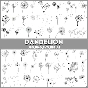 Könnte beinhalten: Eine Sammlung von schwarz-weißen Illustrationen von Löwenzahnpflanzen in verschiedenen Stadien der Blüte und Samenverbreitung. Das Wort "DANDELION" wird in Weiß auf grauem Hintergrund angezeigt.