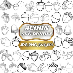 May include: A collection of acorn illustrations in various styles, including detailed sketches and line drawings. The image features the text "ACORN SVG BUNDLE" and "JPG, PNG, SVG, EPS". The acorns are in black and white.