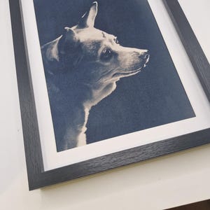 May include: A framed print featuring a sepia-toned portrait of a dog in profile. The dog has short fur and alert ears, set against a dark blue background. The print is encased in a black wooden frame with a white mat.