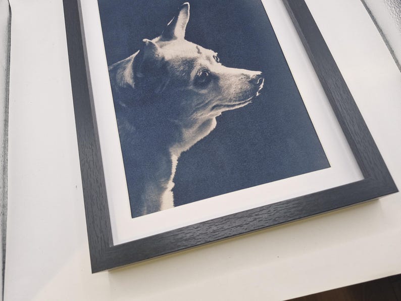 May include: A framed print featuring a sepia-toned portrait of a dog in profile. The dog has short fur and alert ears, set against a dark blue background. The print is encased in a black wooden frame with a white mat.