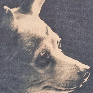 May include: A sepia-toned portrait of a dog's profile, showcasing its head and upper body. The dog has a light-colored coat with a dark background. The image highlights the dog's eye, nose, and ear.