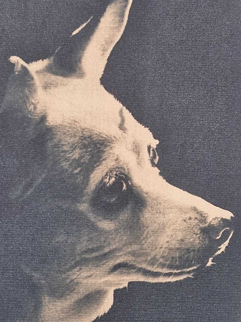 May include: A sepia-toned portrait of a dog's profile, showcasing its head and upper body. The dog has a light-colored coat with a dark background. The image highlights the dog's eye, nose, and ear.
