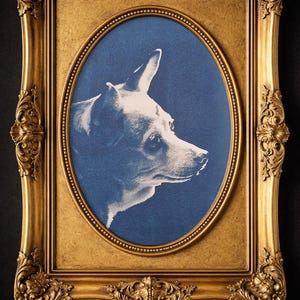 May include: A framed portrait of a dog in profile, set against a blue background. The dog is rendered in white, creating a striking contrast. The ornate, gold-colored frame adds a touch of elegance to the artwork.