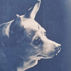May include: A sepia-toned portrait of a dog in profile against a dark blue background. The dog has erect ears and a focused gaze, with its fur appearing light against the darker backdrop. The image captures the dog's features.