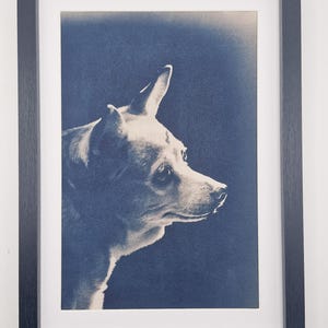May include: Framed print of a dog in profile, rendered in shades of white and blue. The dog's head and upper body are visible, set against a textured blue background. The print is encased in a black frame with a white mat.