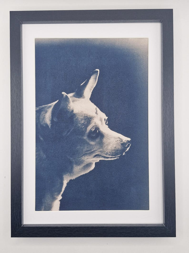 May include: Framed print of a dog in profile, rendered in shades of white and blue. The dog's head and upper body are visible, set against a textured blue background. The print is encased in a black frame with a white mat.