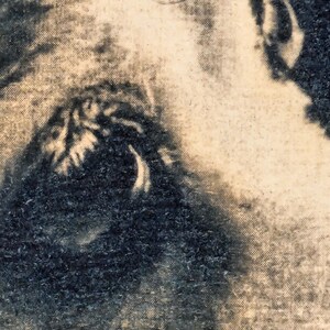 May include: Close-up of a textured, black and white image. The image appears to be a portrait, with the eye and part of the face visible. The texture is rough, with visible grain.