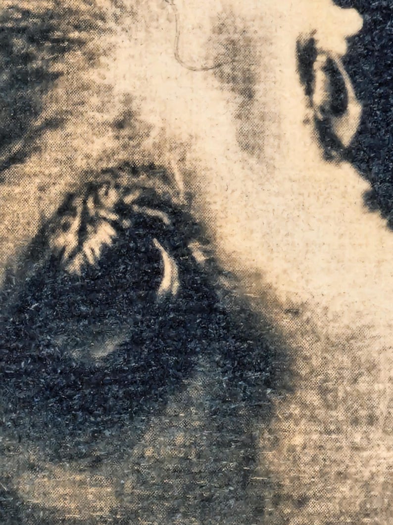 May include: Close-up of a textured, black and white image. The image appears to be a portrait, with the eye and part of the face visible. The texture is rough, with visible grain.