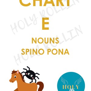 May include: A white background with gold text reading "CHART E NOUNS SPINO PONA". A brown cartoon horse with a black spider on its back is shown. A teal circle with white wings and the text "HOLY rollin" is in the bottom right.