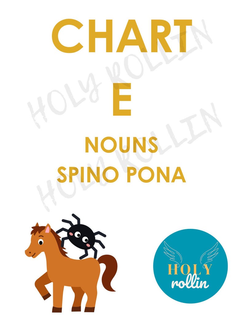 May include: A white background with gold text reading "CHART E NOUNS SPINO PONA". A brown cartoon horse with a black spider on its back is shown. A teal circle with white wings and the text "HOLY rollin" is in the bottom right.