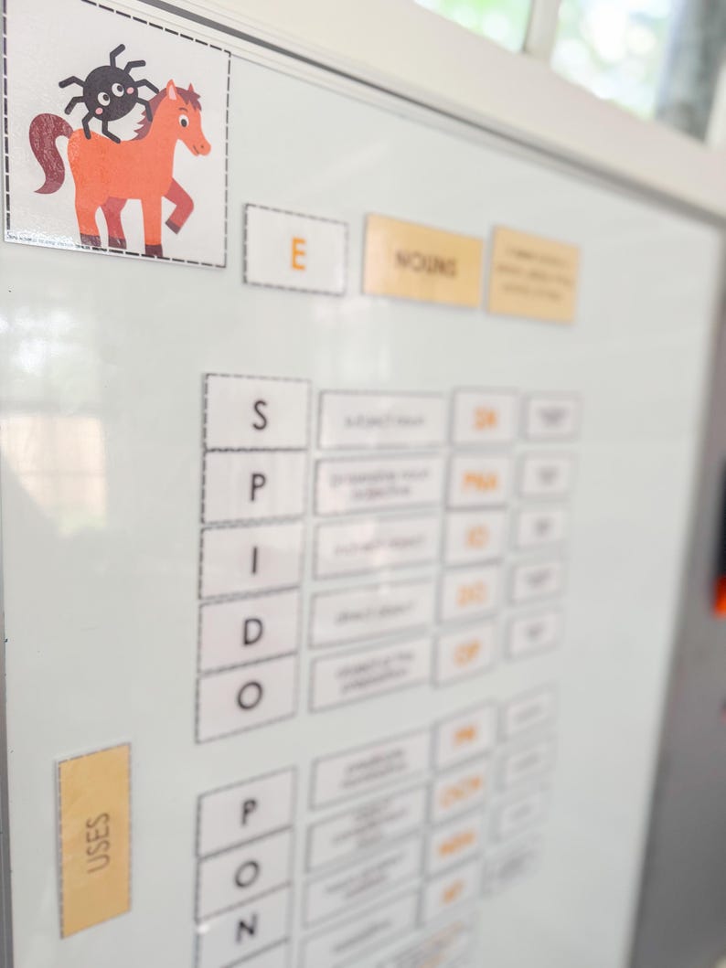 May include: A whiteboard with educational magnets. A cartoon horse and spider are on a magnet. Other magnets spell out words and phrases. The word "USES" is on a yellow magnet.