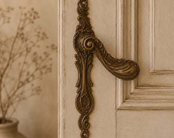 Antique French Rococo Solid Brass Door Handles with Ornate Backplates | Architectural Salvage | Pair of Entry Door Lever Handles