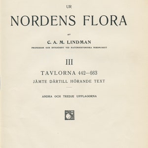 BRYANTHUS COERULEUS Antique Book Plate 149 CAM Lindman Bilder ur Nordens Flora 1926 image 2