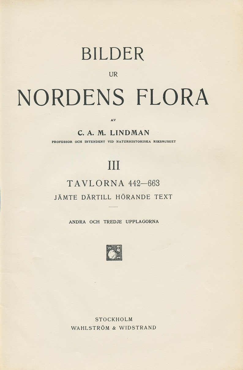BRYANTHUS COERULEUS Antique Book Plate 149 CAM Lindman Bilder ur Nordens Flora 1926 image 2
