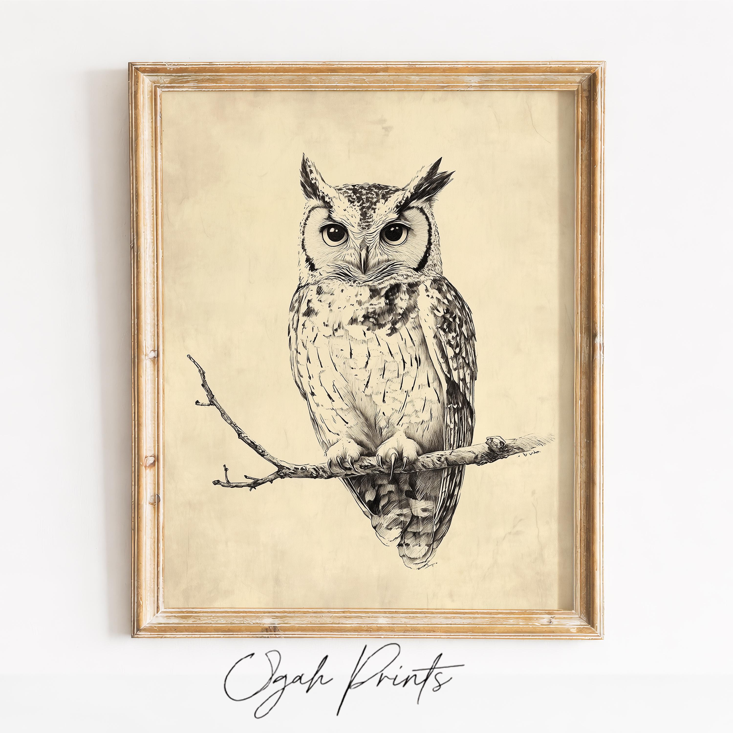 Vintage Owl Illustration Printable - Rustic Farmhouse Decor, Cottagecore Ink Drawing, Monochrome Owl