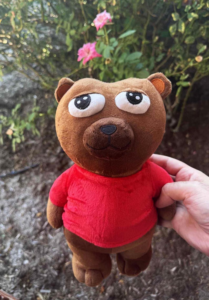 May include: A brown plush bear wearing a red shirt. The bear has large, expressive eyes and a dark brown nose and mouth. The bear is a stuffed animal toy.