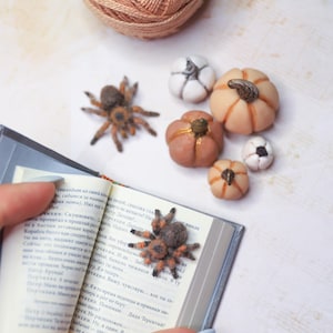 May include: A collection of miniature handmade pumpkins in various sizes and colors, including orange, white, and brown. A small, detailed spider figurine rests on an open book. A ball of tan yarn with pins is in the background.