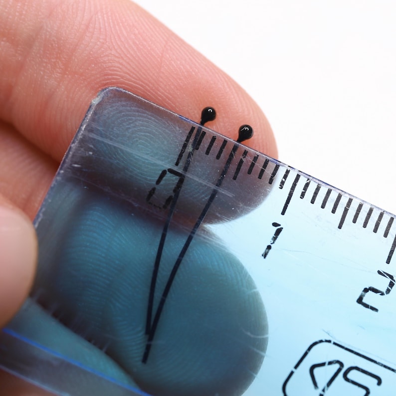 May include: Close-up of a clear plastic ruler with black markings, measuring in inches. Two small, black, rounded objects are positioned near the ruler's edge. The ruler is held against a light background.
