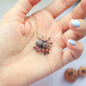 May include: A miniature, detailed spider figurine with a brown and orange body and legs, resting in an open palm. The spider's body is a mix of brown and gray, with orange markings on its legs. The hand has light blue nail polish.