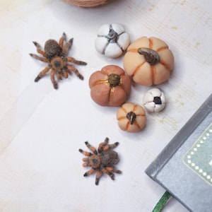 May include: A collection of miniature Halloween decorations, including small pumpkins in shades of orange, white, and brown, and two fuzzy spiders. A spool of tan thread and a book with a green ribbon are also present.