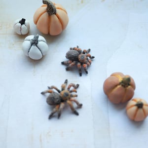 May include: A collection of miniature Halloween decorations, including small pumpkins in shades of orange and white, and detailed spider figurines. The pumpkins have textured surfaces and realistic stems, while the spiders are brown and orange.