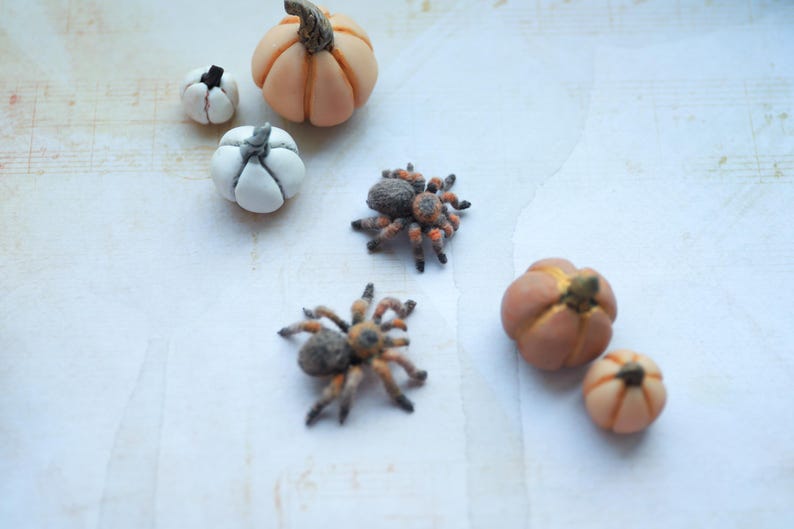 May include: A collection of miniature Halloween decorations, including small pumpkins in shades of orange and white, and detailed spider figurines. The pumpkins have textured surfaces and realistic stems, while the spiders are brown and orange.