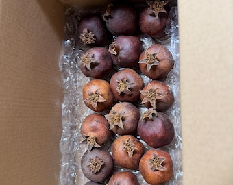 Small Dried Pomegranates Home Decor