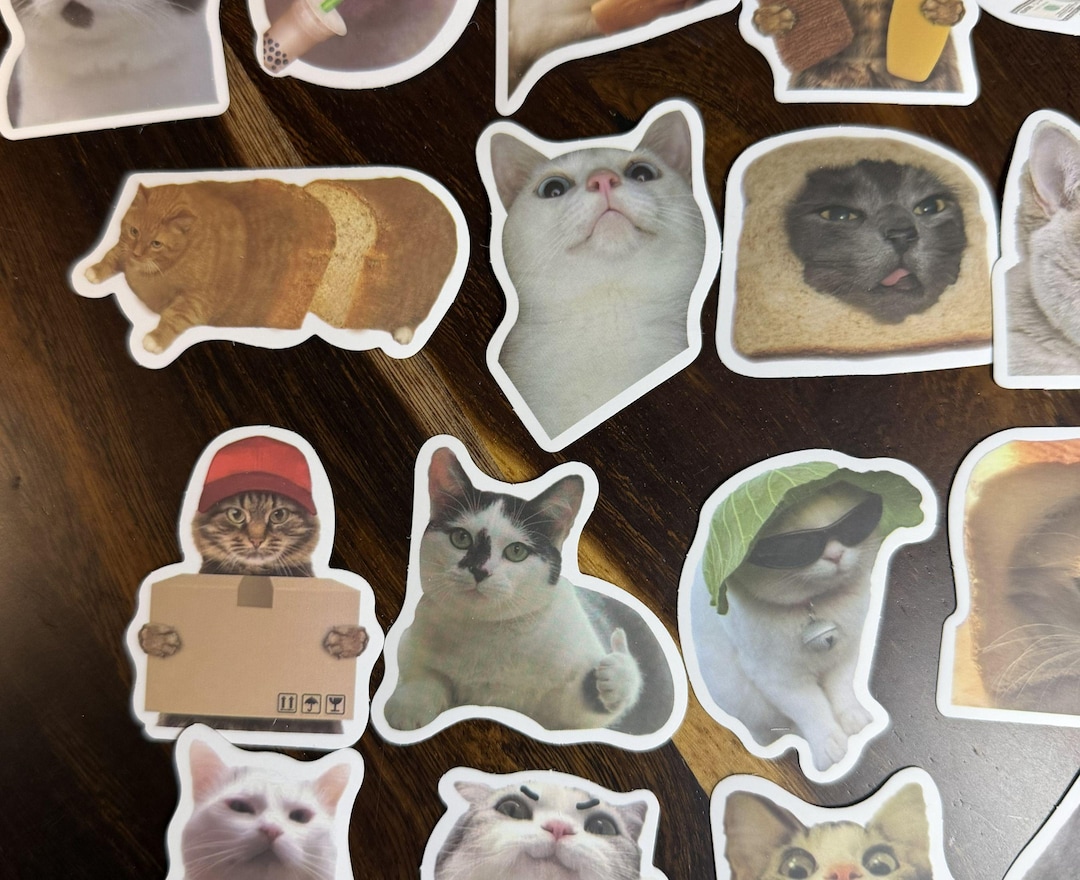 100pc Funny Cat Meme Stickers for Cat Lovers, 2 Inch in Size With Matte ...