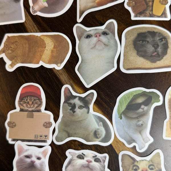 Cat Sticker Reacction Funny Cat Meme Stickers - Etsy