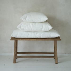 Kusseninzet veren, kussens, kussen, kussenhoezen, kussens gooien, 16 x 16, 16 x 26 lendekusseninzet