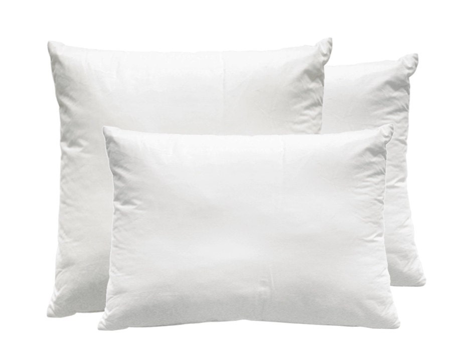  TSUTOMI 18 x 18 Pillow Insert Set of 2 for Pillow