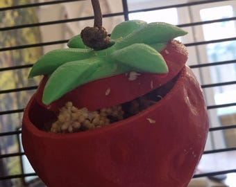 Strawberry Foraging Toy | Small Pet Enrichment Treat Dispenser | 3D Printed Cage Accessory