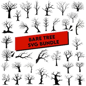 May include: A white ceramic mug with a black handle and the text "But First, Coffee" in a bold, black font. The mug is set against a blurred background, suggesting a cozy setting.