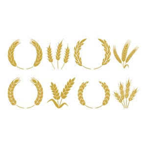 Peut inclure: Huit illustrations dorées de blé ou d'orge. Les motifs comprennent des couronnes, des épis individuels et des gerbes de blé, le tout avec un aspect texturé et détaillé. Les images sont sur fond blanc.