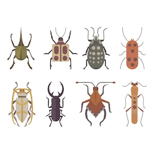 Könnte beinhalten: Illustration von acht stilisierten Insekten in verschiedenen Farben. Die Insekten umfassen grüne, braune, orange und graue Beispiele, einige mit Flecken, andere mit einzigartigen Antennen- und Bein-Strukturen. Das Bild befindet sich auf weißem Hintergrund.