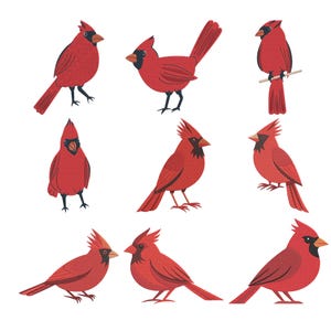 Cardinal Bird Embroidery Design Bundle, Red Northern Cardinal Realistic Bird Machine Embroidery File, Instant Download 5 Sizes
