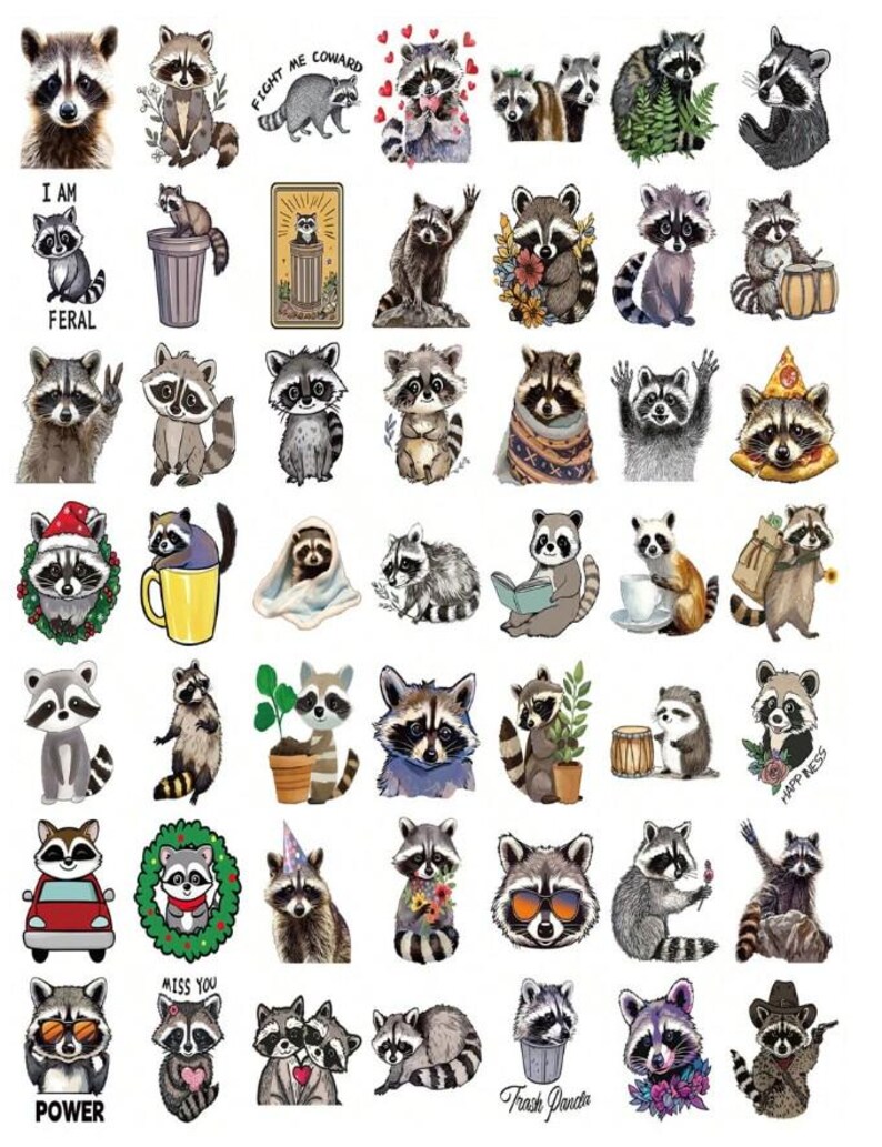 50PCS Cartoon Raccoon Stickers Pack | Cute Animal Vinyl Decals for ...