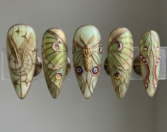 May include: Five almond-shaped, press-on nails with a light green iridescent base and gold accents. Each nail features a different design, including a feather, butterfly, and wing patterns. The nails are displayed on a clear stand.