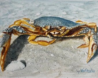 Watercolor of Crab. seashore in the sand, beach scene, sea life, seashells